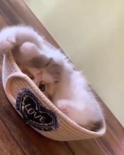 She knows she's being cute! ?