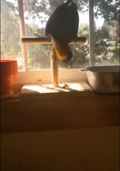 WCGW with destroying the thing you're standing on