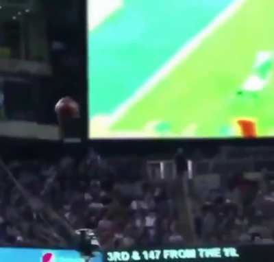 Cat: I can't stand seeing the ball