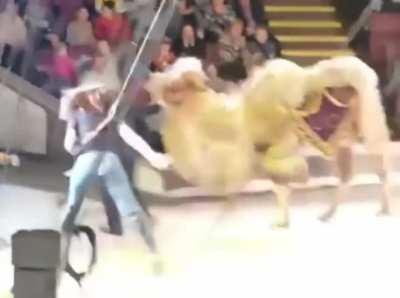 Go to the circus they said, it will be fun they said..