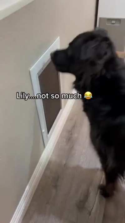 Where did they go ?