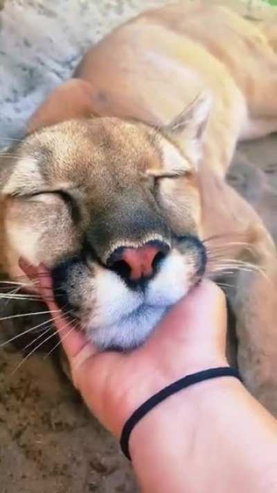 They aren't scary, they are beautiful specially when they smile