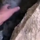 Wait for it...