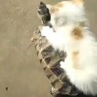 I'm on a ride!