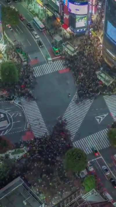 Shibuya Crossing, Tokyo. The world's busiest pedestrian crossing with as many as 3,000 people passing through at a time.