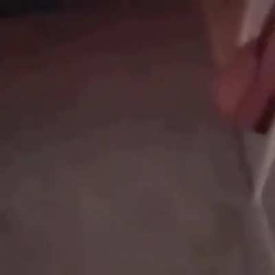 how to kill a spider