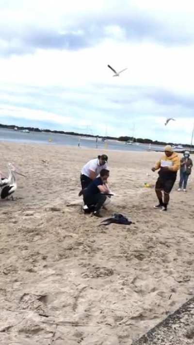 poor Pelican with a hook in its mouth ?