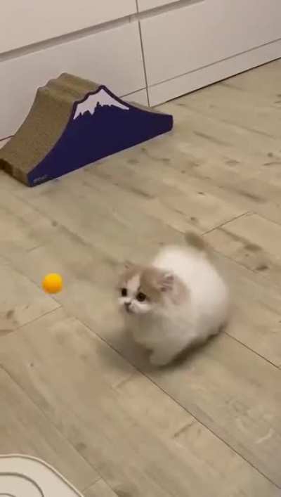 Playing the ball