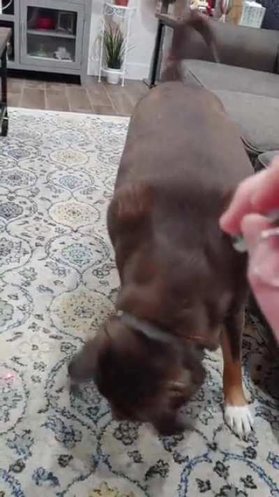 chomp