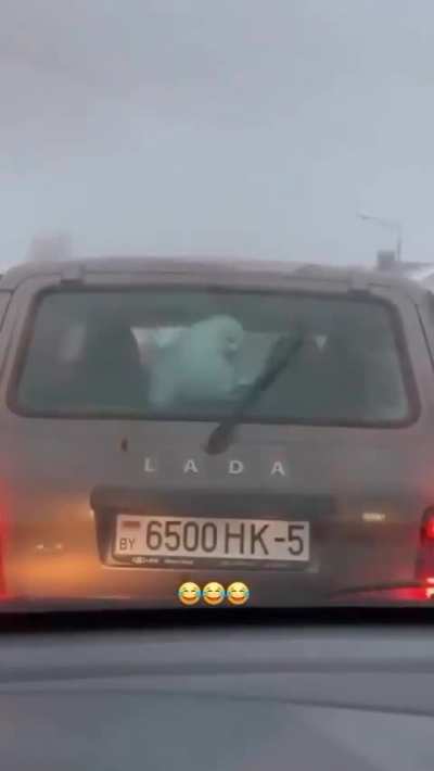 Maybe Maybe Maybe