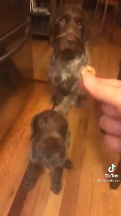 Mom helps out