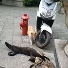 Wait, no it’s not what it looks like.