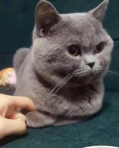 Can I hold your finger, please!