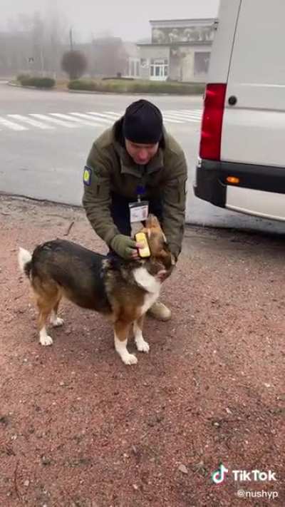 If Chernobyl mutant dog is radioactive, why is he friend shaped?