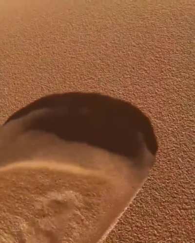 ? The way the sand rolls on this sand dune in the Sahara