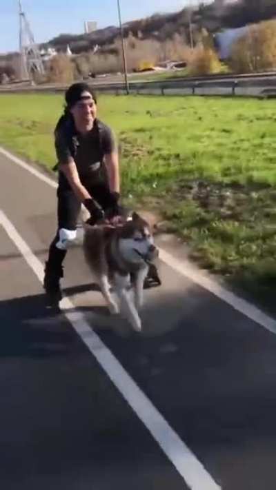 Proper use of the husky in the city. Tatiana Karpova, 19, was rollerblading with her friend's five-year-old pet, a husky named Butur, in Nizhny Novgorod.