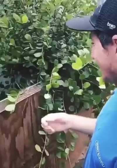 Who's a good boy?!