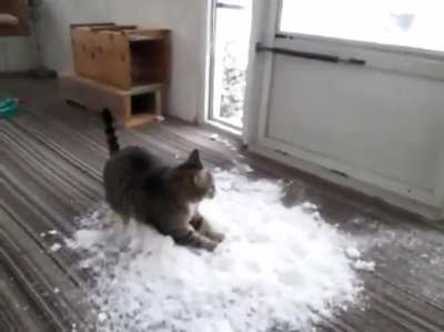 snow slaps