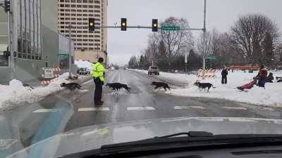 Crosswalks in Alaska Credit: Marisa Puller