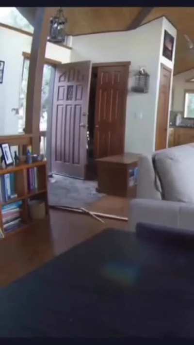 And I just finished installing that new door