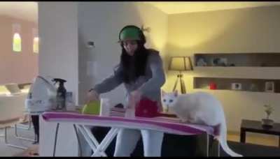 DJ’s assistant