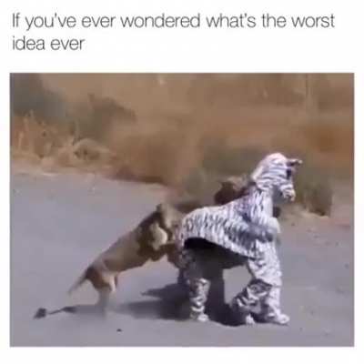 You just have to be faster than the idiots...