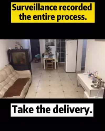 Very smart dog receiving courier package.