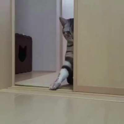 Heeere human human, c'mere human c'mere