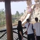 A real man never runs away from water coaster, oh wait..