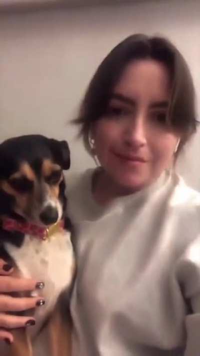 Kiss your dog ?