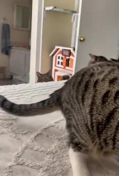 What happens