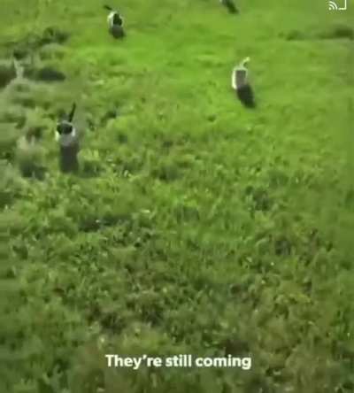 They’re coming after me!