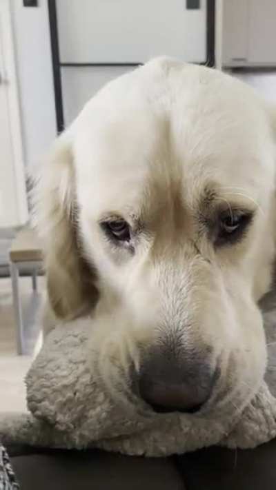Heartbreaking story