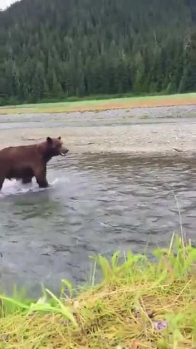?Normal day in Alaska
