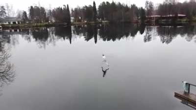 Swimming in Finland