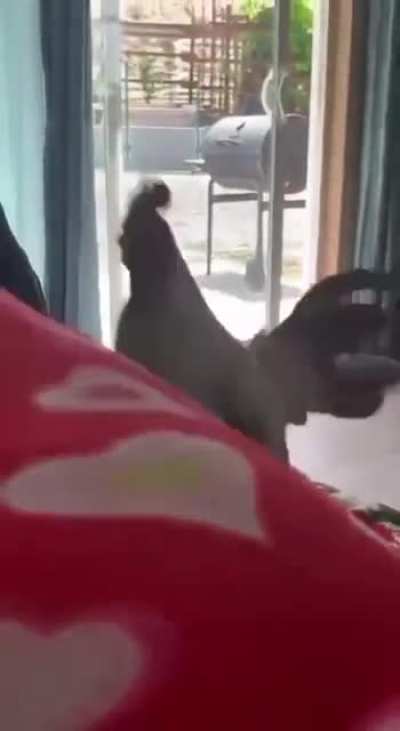 Live alarm clock??