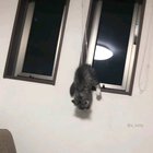 Mistakes were made