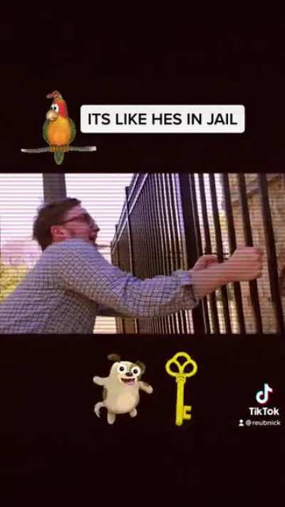 it’s like he’s in jail