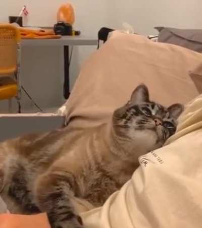 That look ?