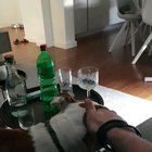 My dog remembers what happened last time he quickly turned around