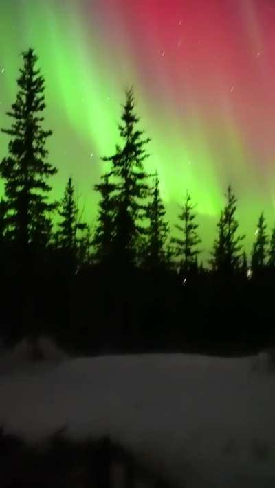 ? Walking out the front door at 3:17 am this morning in Venetie, Alaska