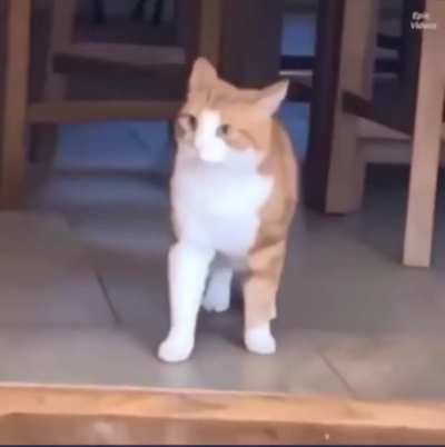 He died inside
