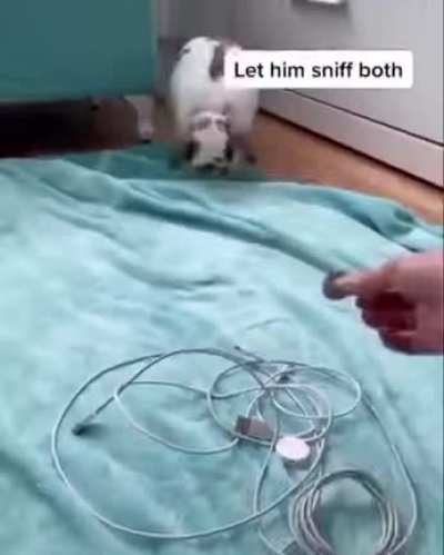 Hello there
