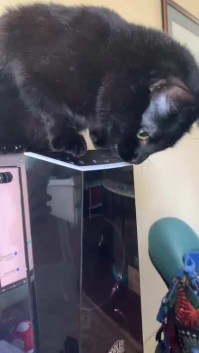 Bruce does want my phone to charge, so I guess I’m not charging it