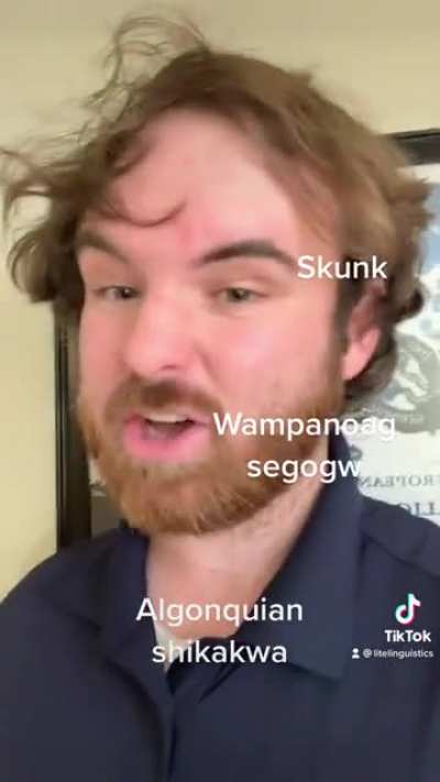 Stories about Words: Skunks and their city
