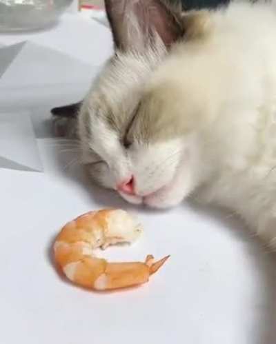 "I was just dreaming of this!"