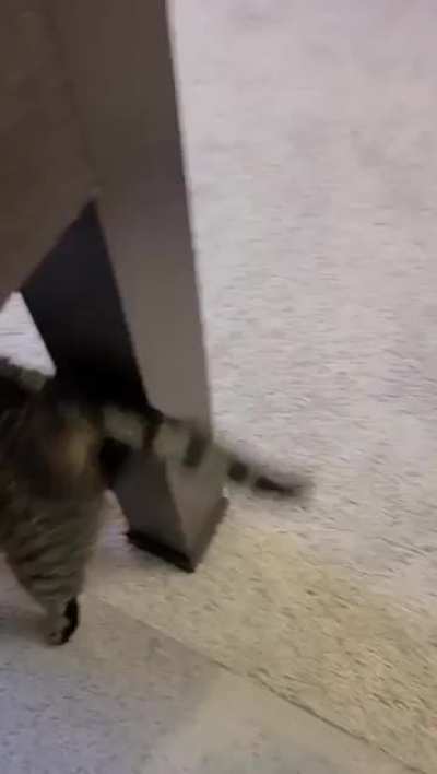 Look at me!