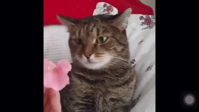 “Aww..wtf.”