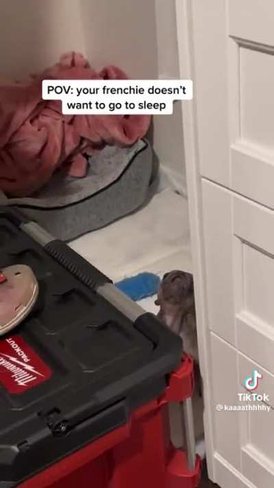 Getting them to sleep ?