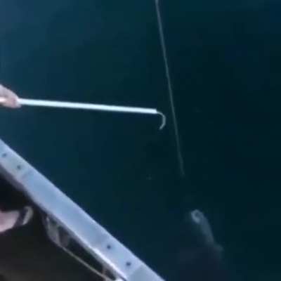 Whatever floats your fish